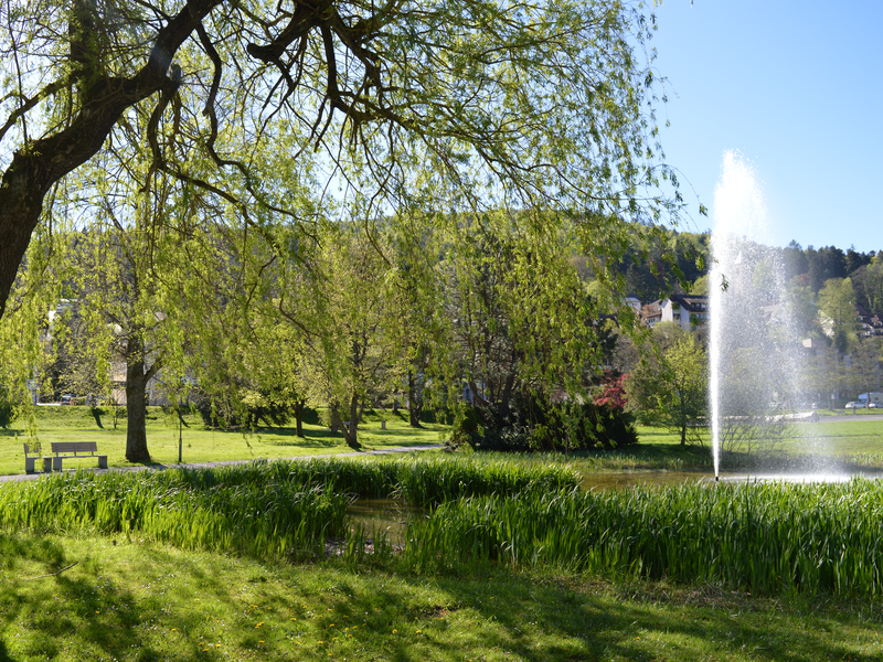 Schweizerwiese mit einer Wasserfontaine und einer grünen Wiese und Bäumen