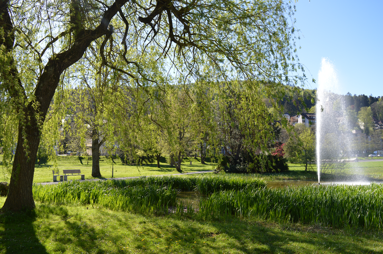 Schweizerwiese mit einer Wasserfontaine und einer grünen Wiese und Bäumen