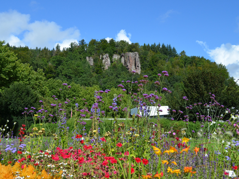 Falkensteinfelsen mit einem blauen Himmel und mit bunten Blumen im Vordergrund