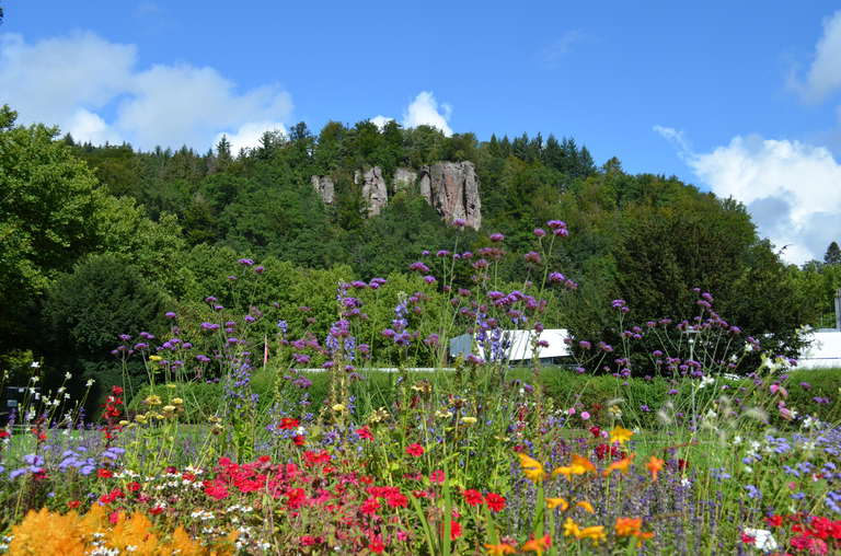 Falkensteinfelsen mit einem blauen Himmel und mit bunten Blumen im Vordergrund