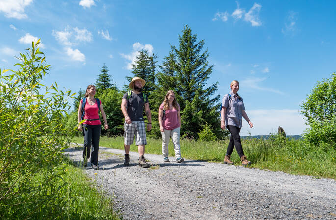 Vier Wanderer die auf einem Wanderweg laufen bei einem blauen Himmel und Sonnenschein