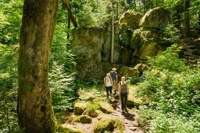 Drei Wanderer laufen im Wald und im Hintergrund ist eine große Felsmauer 