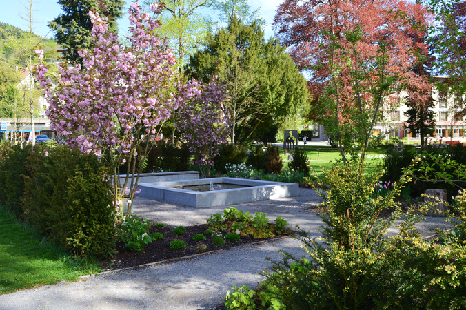 Parkanlage mit verschiedenen blühenden Sträuchern und Springbrunnen